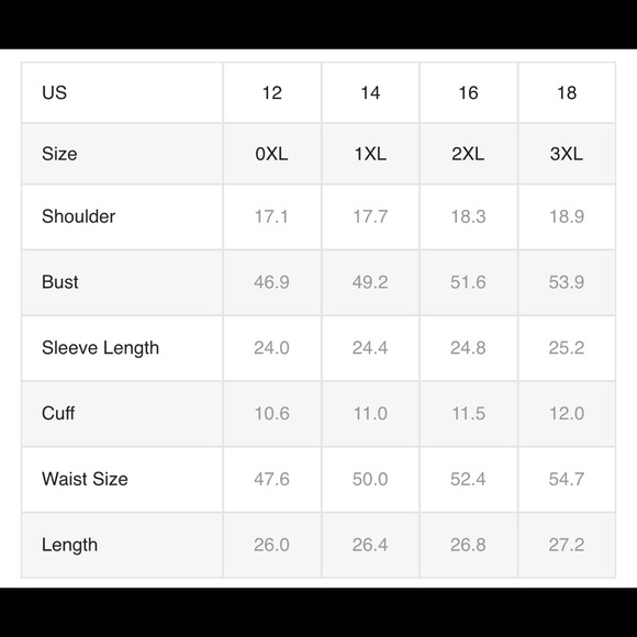 PLUS SIZE 🖤 leopard print silky long sleeve top - Picture 3 of 3